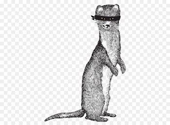 Beer Weasels Whiskers Lager Mammal - beer 