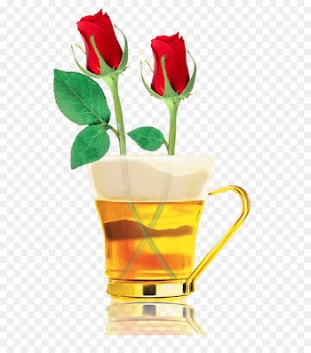 Beer Wine Drink - rose,beer 