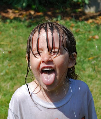 beesprinkler.jpg