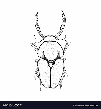  					Beetle black and white sketching vector image														