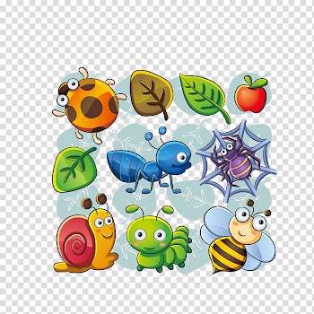 Beetle Cartoon , Insects and leaves transparent background PNG clipart
