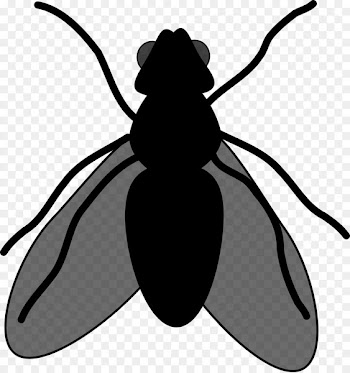 Beetle, Character, Cartoon, Insect, Pest PNG