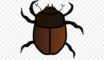 Beetle Clip art Free content True bugs Illustration - queen ecommerce 