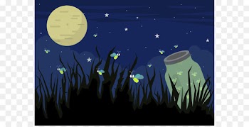 Beetle Firefly If(we) Illustration - Vector Firefly 
