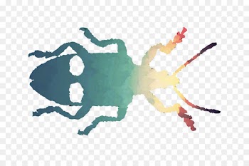 Beetle Font Pest Membrane Insect -  