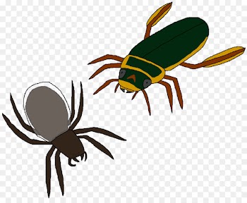 Beetle, Great Diving Beetle, Ant, Insect, Pest PNG