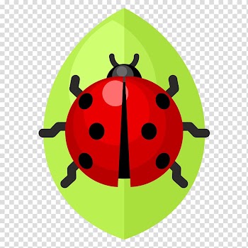Beetle Ladybird , green leaves Ladybug transparent background PNG clipart