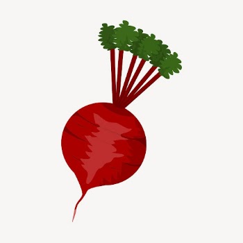 Beetroot clipart, vegetable illustration psd. | Free PSD - rawpixel