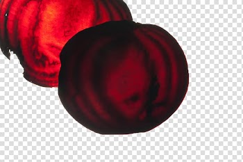 Beetroot Common beet Vegetable Food, Purple beet slices transparent background PNG clipart