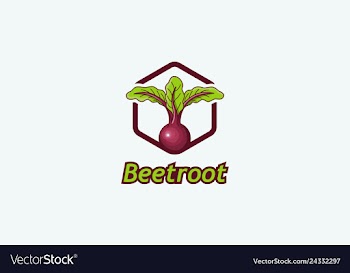 Beetroot vector image