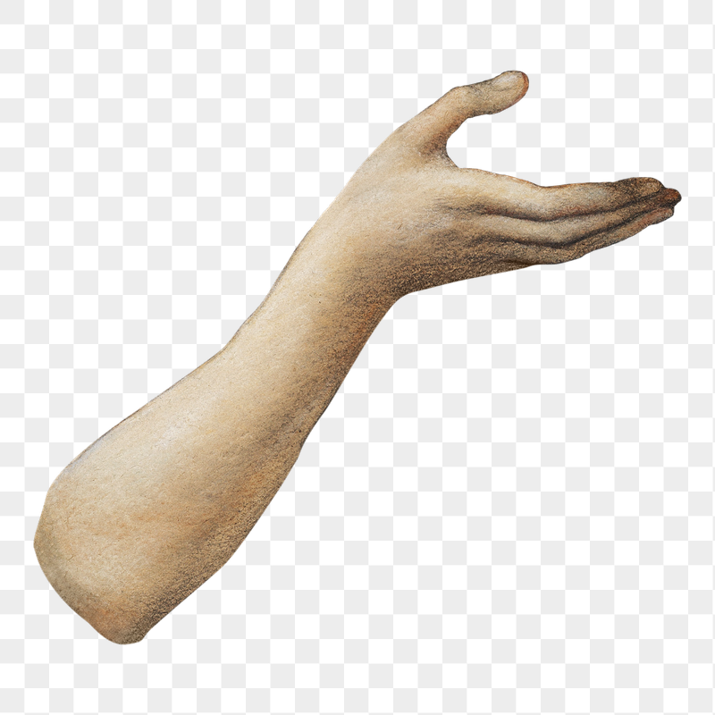 Begging hand png sticker, body | Free PNG - rawpixel