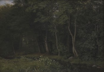 Beginning of evening twilight in a forest.Motif | Free Photo - rawpixel