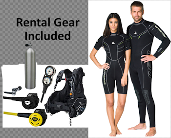 Beginning Scuba Diver — Coral Key Scuba and Travel