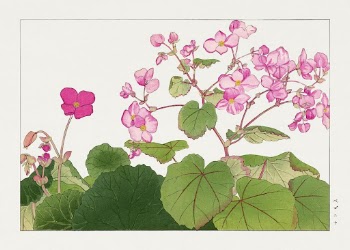 Begonia flower, Japanese woodblock art | Free Photo Illustration - rawpixel