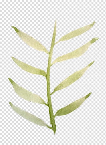 Behance Graphic design Watercolor painting, water color leaf transparent background PNG clipart