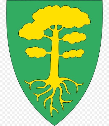 Beiarn kommune Civic heraldry Coat of arms Computer file - furu 
