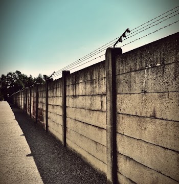 Beige and Black Concrete Wall With Barbwire on Top