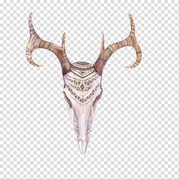 Beige and brown animal skull illustration, Boho-chic Watercolor painting Skull Feather Illustration, Hand-painted deer transparent background PNG clipart