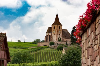 Beige and Brown Church Surrounded by Grass and Flowers