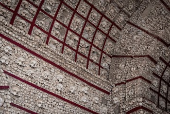 Beige and Red Concrete Bone-themed Wall