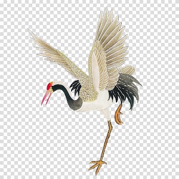 Beige and white bird illustration, Painting red-crowned crane transparent background PNG clipart