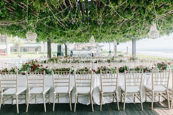 Beige-and-white Dining Chairs and Tables