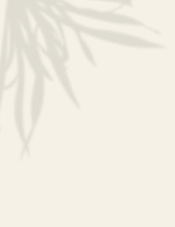 Beige background, leaf shadow design | Free Photo - rawpixel