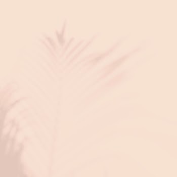 Beige background, palm leaf shadow | Free Photo - rawpixel
