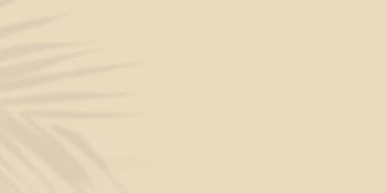 Beige background, palm leaf shadow | Free Photo - rawpixel