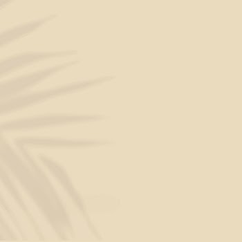 Beige background, palm leaf shadow | Free Photo - rawpixel