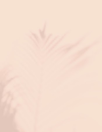 Beige background, tropical palm leaf | Free Photo - rawpixel