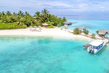 Beige Beach With Huts and Loungers Beside Teal Calm Body of Ocean at Daytime