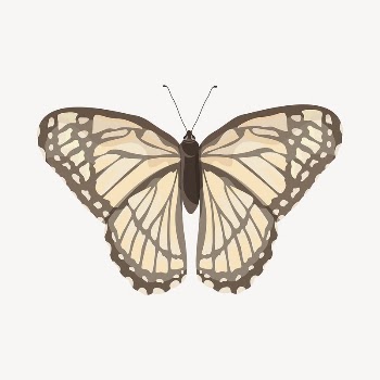 Beige butterfly illustration collage element | Free Vector Illustration - rawpixel