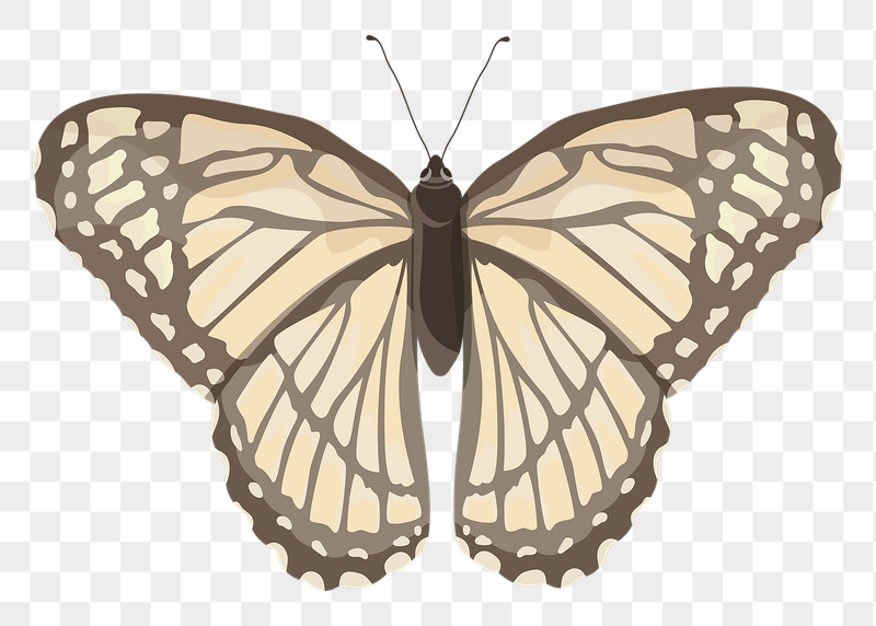 Beige butterfly png illustration sticker, | Free PNG - rawpixel