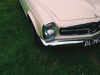 beige car on green grass field
