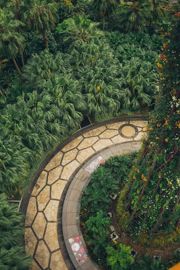 Beige Concrete Road in Middle of Plant Topiary