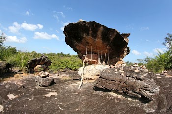Beige Driftwood