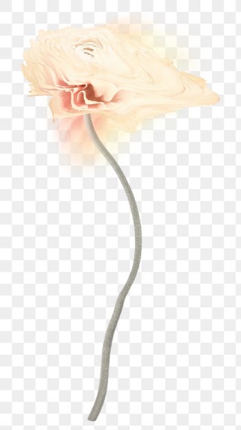 Beige flower PNG sticker, pastel buttercup… | Free stock illustration | High Resolution graphic