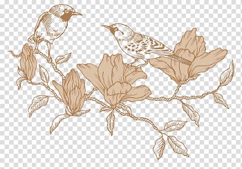 Beige flowers illustration, Vintage line drawing bird,plant transparent background PNG clipart