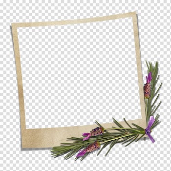 Beige frame , Polaroid Corporation frame Digital frame, European Border transparent background PNG clipart