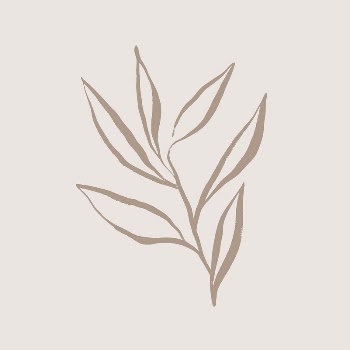 Beige leaf line art, aesthetic | Free Photo - rawpixel