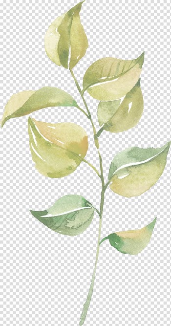 Beige leaves illustration, Leaf Watercolor painting, Psd material leaves falling leaves transparent background PNG clipart