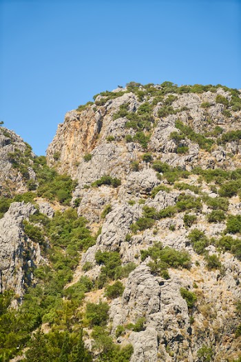 Beige Mountain Cover by Grass