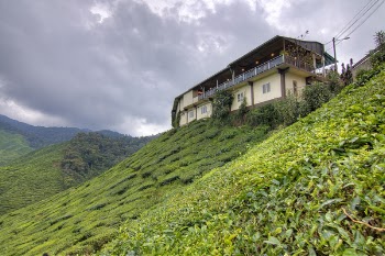 Beige Painted House and Green Grass Field