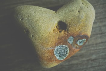 Beige Rock on Brown Wooden Surface