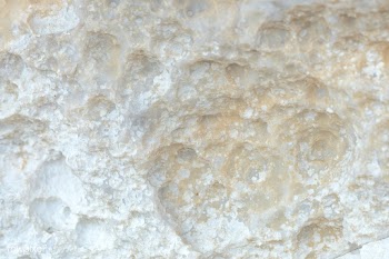 Beige rock textured surface background | Free  photo - 2309715