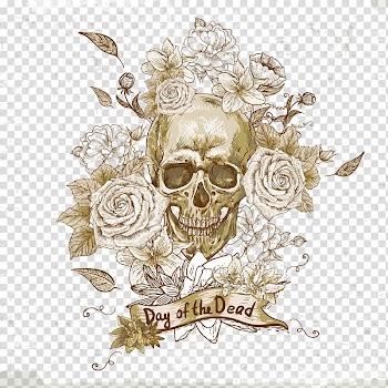 Beige skull and flowers illustration, Calavera Human skull symbolism Flower, Hand-painted watercolor style skull illustration transparent background PNG clipart
