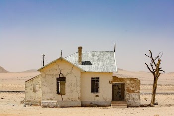 beige wall paint house near bare tree