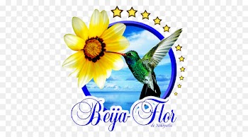 Beija-Flor Logo Symbol - others 