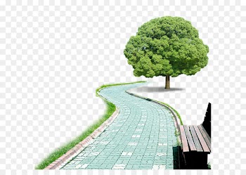 Beijing Digital marketing Limited liability company Web design - the way 